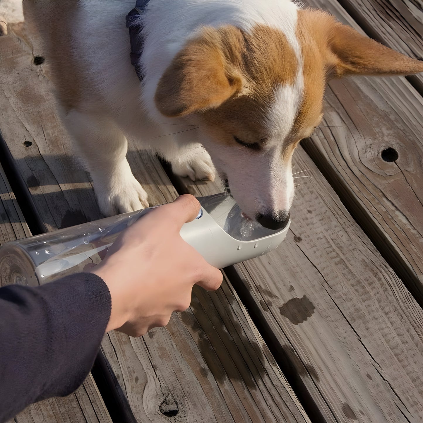 Portable Drinking Cup for Pets